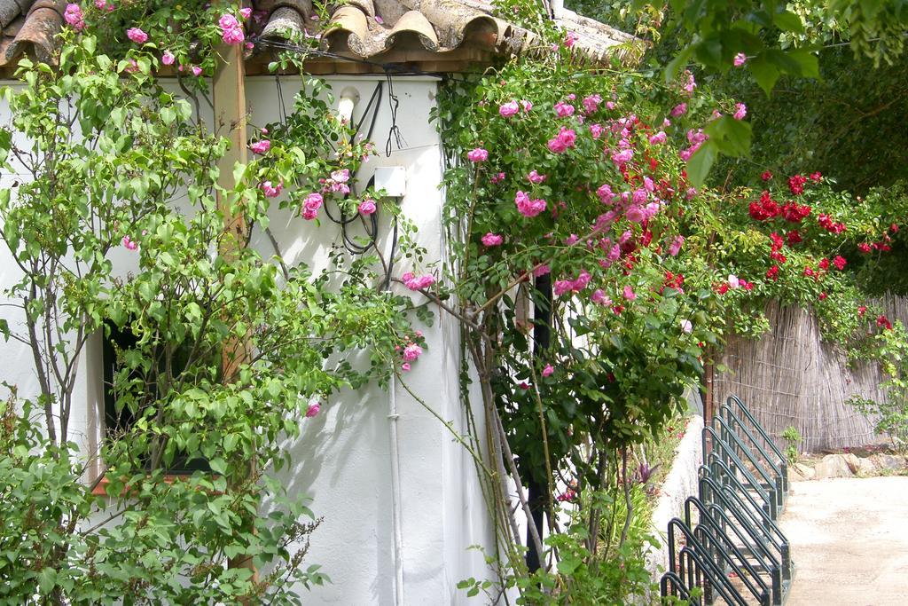 Batan De Monjas Apartment